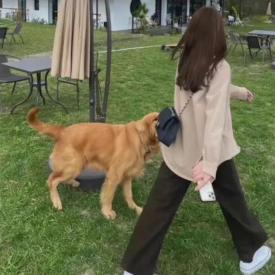 山姆·克莱默克的时间机器
